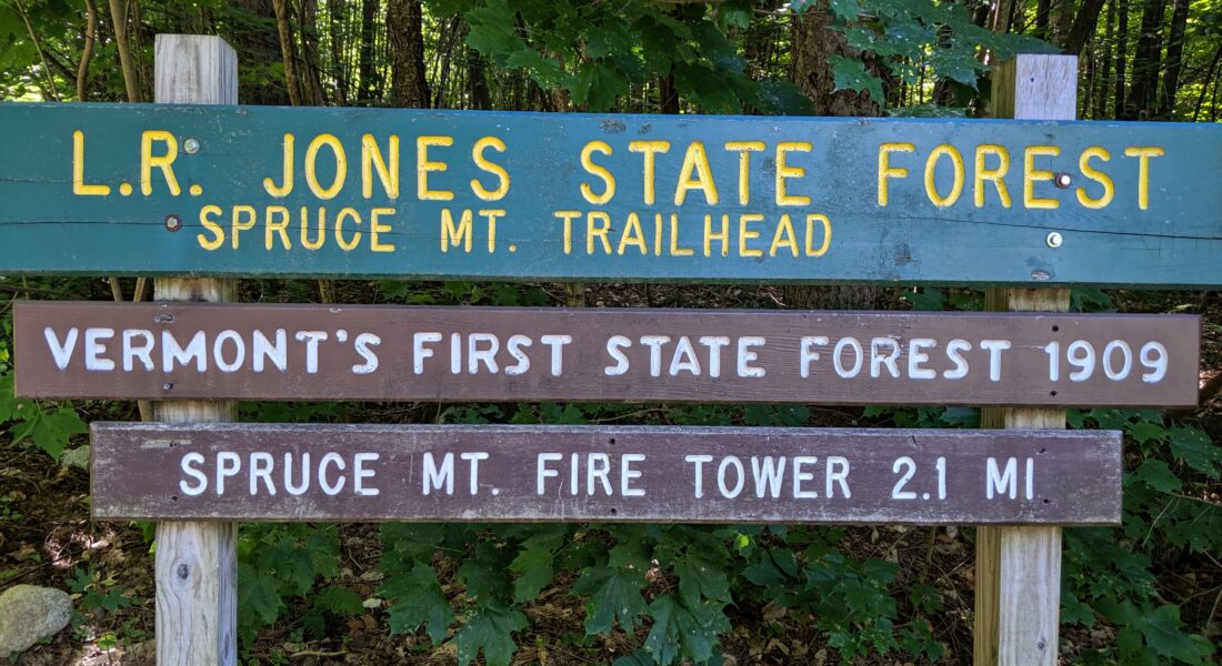 Wood sign states L.R. Jones State Forest